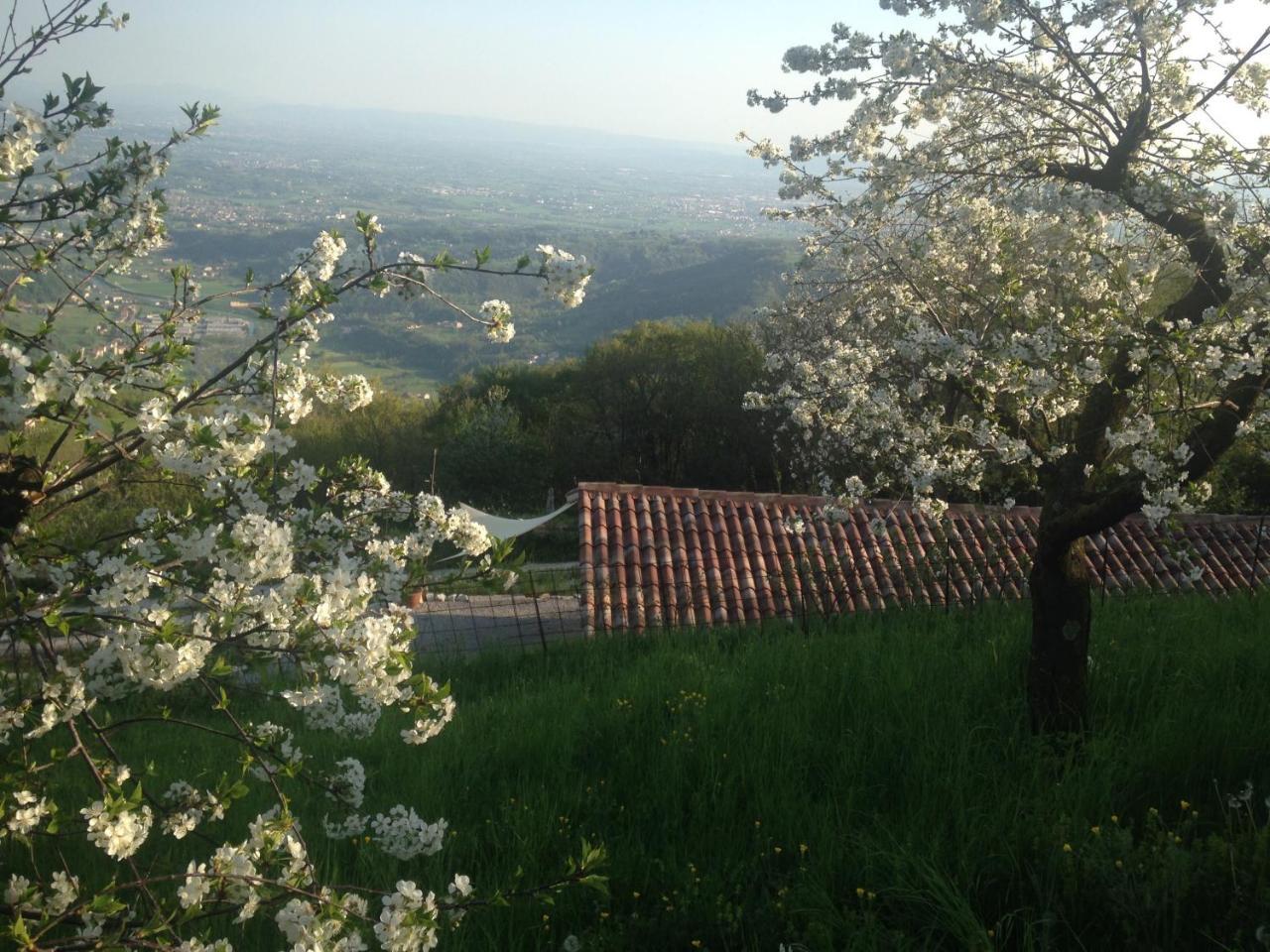 Calvenere Villa Exterior photo